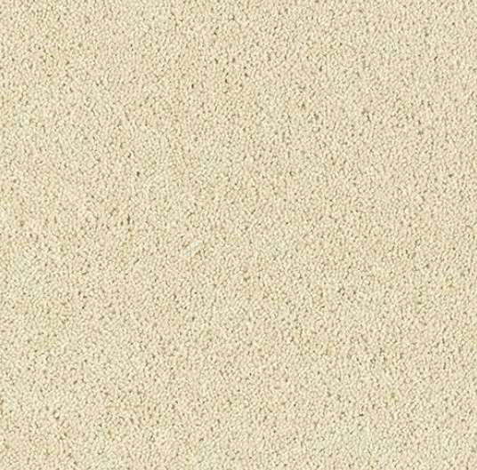 Windsor Twist Elite Carpet