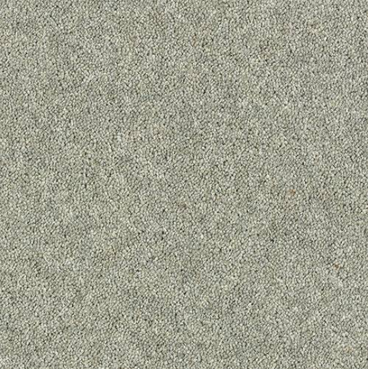 Windsor Twist Elite Carpet