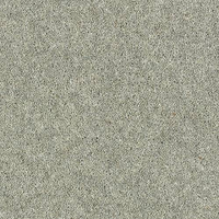 Windsor Twist Elite Carpet