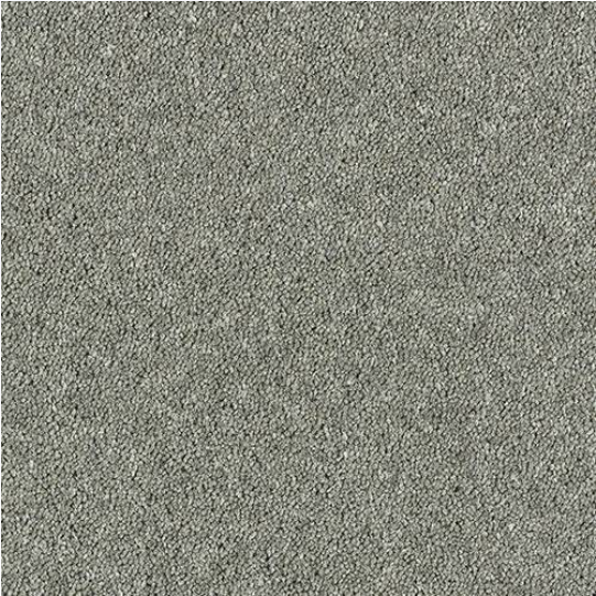 Windsor Twist Elite Carpet