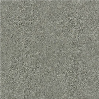 Windsor Twist Elite Carpet