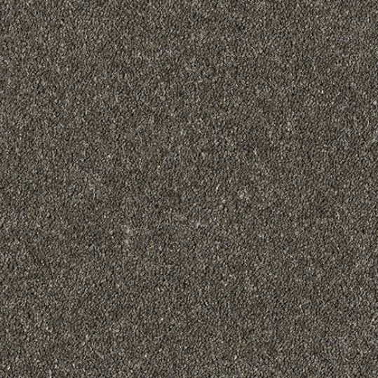 Windsor Twist Elite Carpet