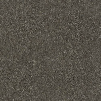 Windsor Twist Elite Carpet