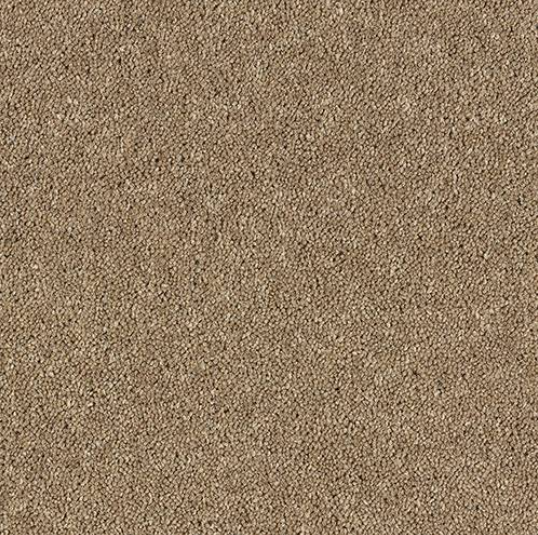 Windsor Twist Elite Carpet