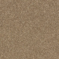 Windsor Twist Elite Carpet