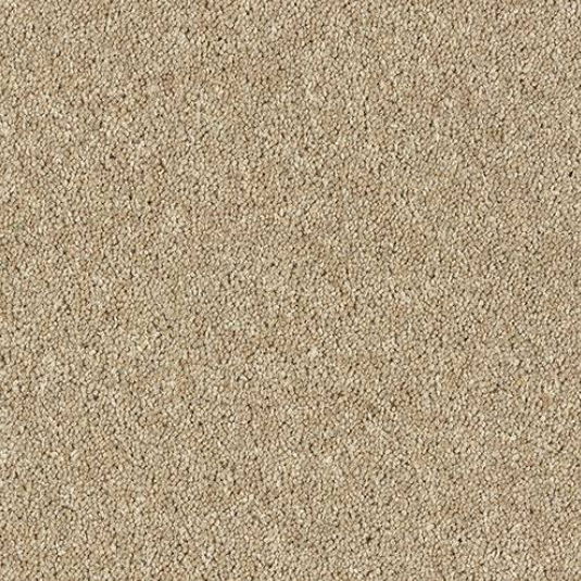 Windsor Twist Elite Carpet