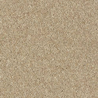 Windsor Twist Elite Carpet