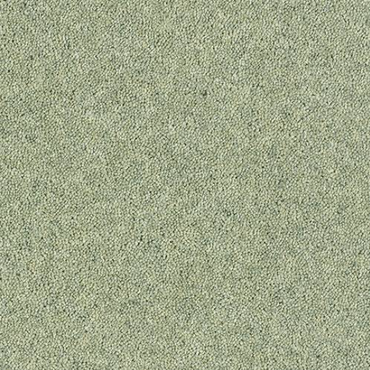 Windsor Twist Elite Carpet