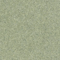 Windsor Twist Elite Carpet