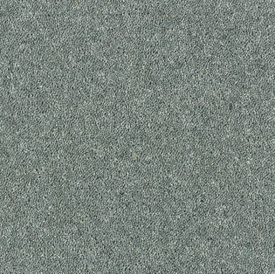 Windsor Twist Elite Carpet