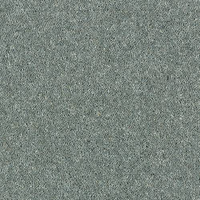 Windsor Twist Elite Carpet