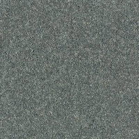 Windsor Twist Elite Carpet