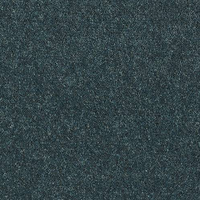 Windsor Twist Elite Carpet