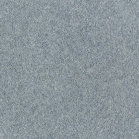 Windsor Twist Elite Carpet