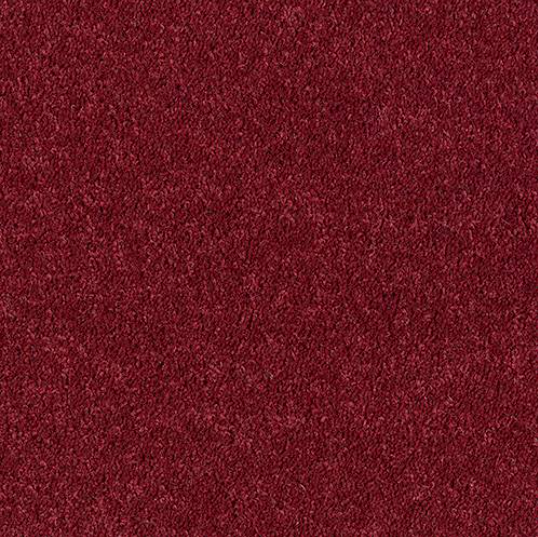 Windsor Twist Elite Carpet
