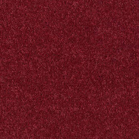 Windsor Twist Elite Carpet