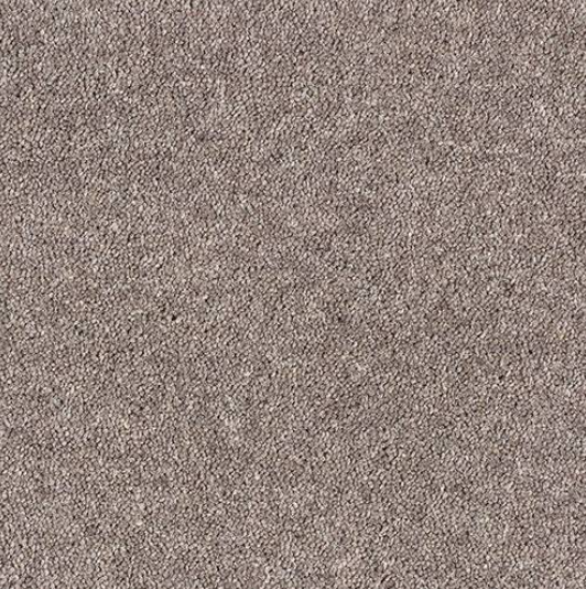 Windsor Twist Elite Carpet