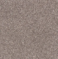 Windsor Twist Elite Carpet