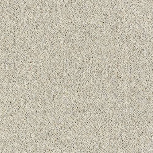 Windsor Twist Elite Carpet