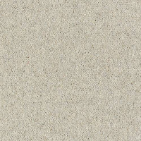 Windsor Twist Elite Carpet