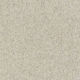 Windsor Twist Elite Carpet