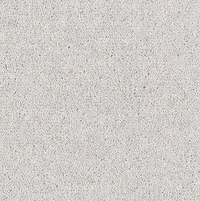 Windsor Twist Elite Carpet