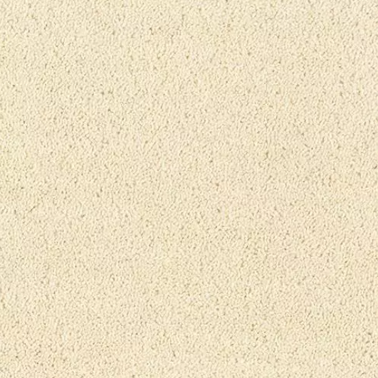 Windsor Twist Elite Carpet