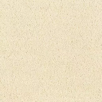 Windsor Twist Elite Carpet
