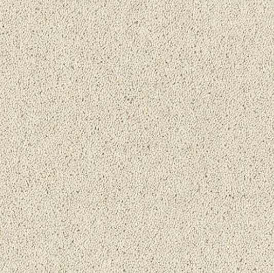 Windsor Twist Elite Carpet