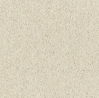 Windsor Twist Elite Carpet