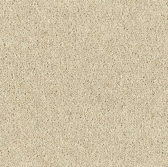 Windsor Twist Elite Carpet
