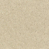 Windsor Twist Elite Carpet