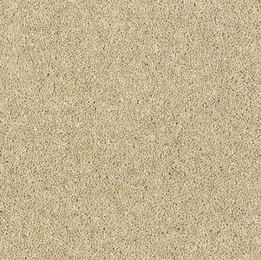 Windsor Twist Elite Carpet