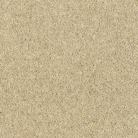 Windsor Twist Elite Carpet