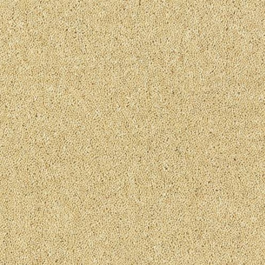 Windsor Twist Elite Carpet