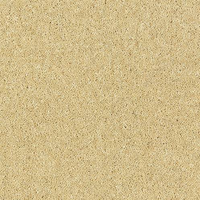 Windsor Twist Elite Carpet