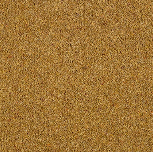 Allonby Carpet