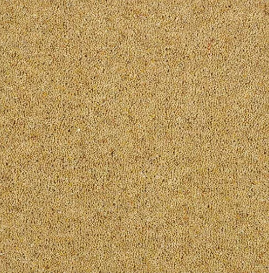 Allonby Carpet