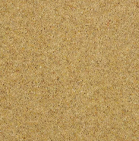 Allonby Carpet