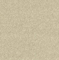 Smart Atilius Carpet