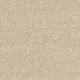 Smart Atilius Carpet