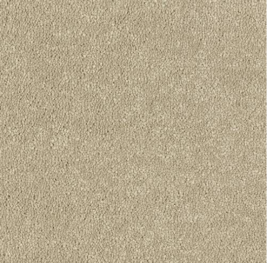 Smart Atilius Carpet