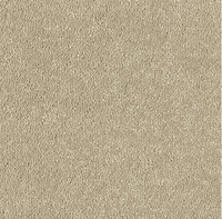 Smart Atilius Carpet