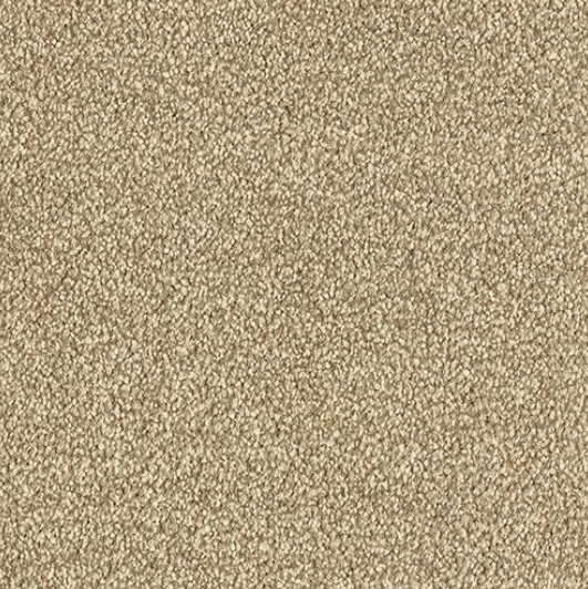 Smart Atilius Carpet