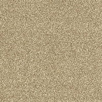 Smart Atilius Carpet