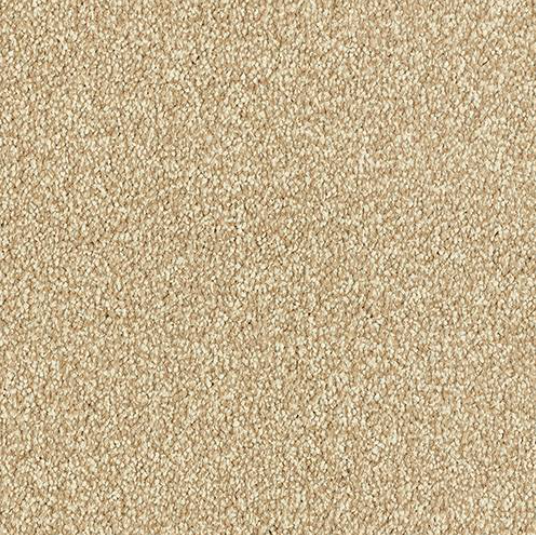 Smart Atilius Carpet