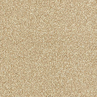 Smart Atilius Carpet