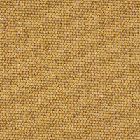 Bardsea Carpet