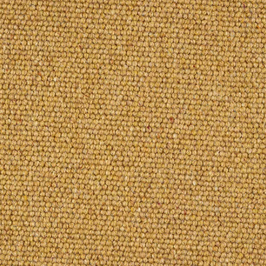 Bardsea Carpet