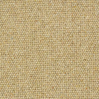 Bardsea Carpet